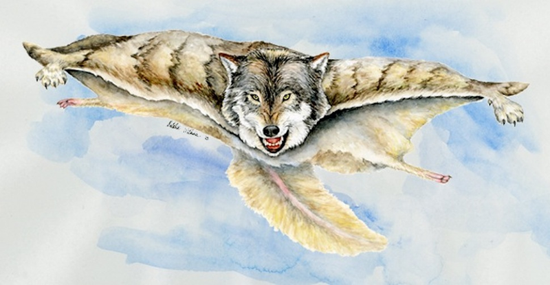 Illustration for article titled Unholy animal hybrids, as drawn by science illustrators